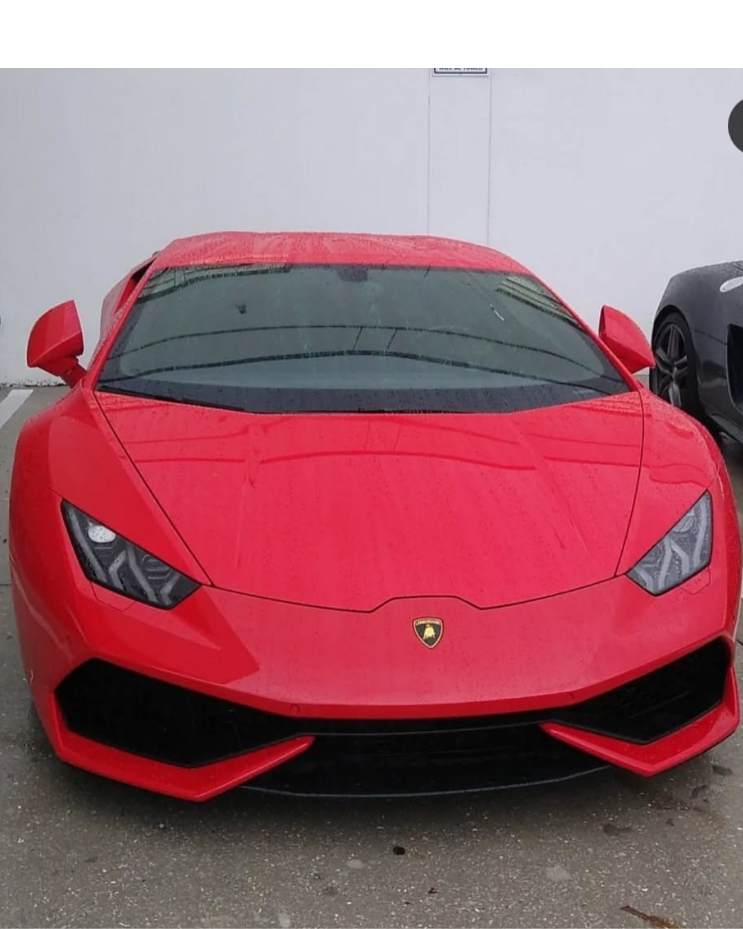 Nissan Rouge exterior detailed